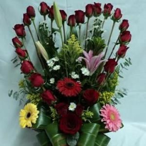 Meet your Posher, Ross